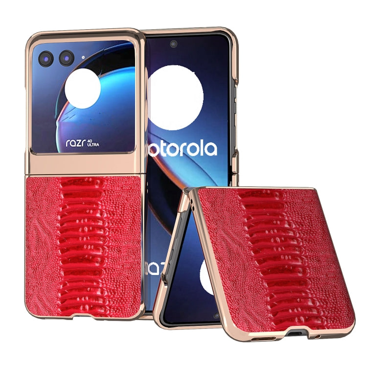 For Motorola Razr 40 Ultra Nano Plating Genuine Leather Weilai Series Phone Case(Red) - Motorola Cases by buy2fix | Online Shopping UK | buy2fix