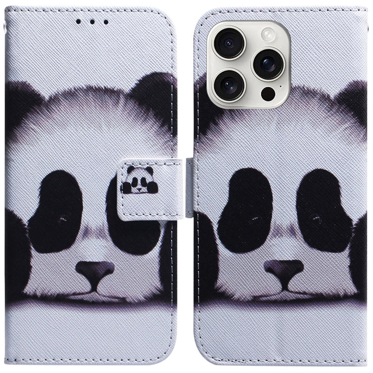 For iPhone 16 Pro Max Coloured Drawing Flip Leather Phone Case(Panda) - iPhone 16 Pro Max Cases by buy2fix | Online Shopping UK | buy2fix