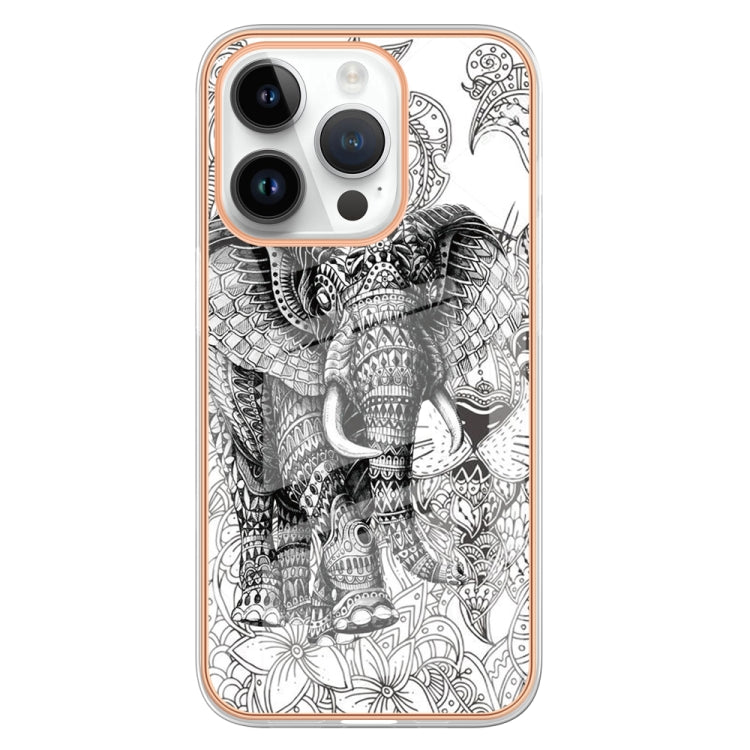 For iPhone 16 Pro Electroplating Marble Dual-side IMD Phone Case(Totem Elephant) - iPhone 16 Pro Cases by buy2fix | Online Shopping UK | buy2fix