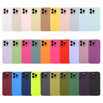 For iPhone 13 Pro Max Pure Color Liquid Silicone Fine Pore Phone Case(Willow Green) - iPhone 13 Pro Max Cases by buy2fix | Online Shopping UK | buy2fix