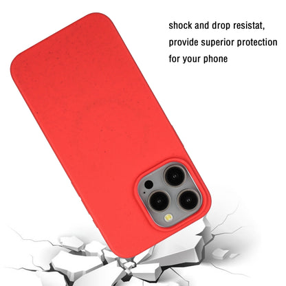 For iPhone 11 Pro Wheat MagSafe Magnetic Straw Material + TPU Phone Case(Red) - iPhone 11 Pro Cases by buy2fix | Online Shopping UK | buy2fix