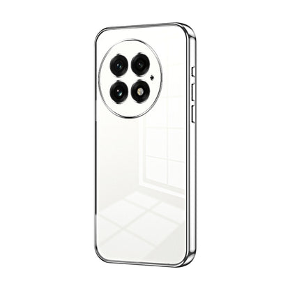 For OnePlus 13 Transparent Plating Fine Hole Phone Case(Silver) - OnePlus Cases by buy2fix | Online Shopping UK | buy2fix