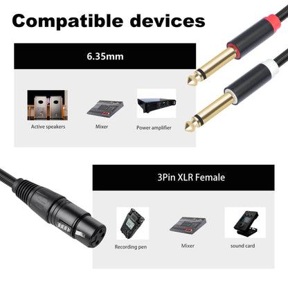 2020Y63 XLR Female to Dual 6.35mm 1/4 TRS Male Y-type Audio Cable, Length:1m(Black) - Microphone Audio Cable & Connector by buy2fix | Online Shopping UK | buy2fix