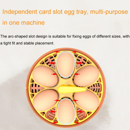 6-Eggs Small Household Experimental Children Smart Chicken Incubators, Spec: Automatic AU Plug - Incubators by buy2fix | Online Shopping UK | buy2fix