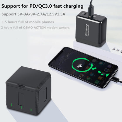 RUIGPRO 5V 3A QC 3.0 + PD Quick Charger Power Adapter for DJI OSMO Action, US Plug - DJI & GoPro Accessories by buy2fix | Online Shopping UK | buy2fix