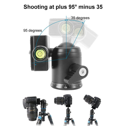 BEIXIN QB-30  360 Degree Rotation Panorama Metal Ball Head with Quick Release Plate - Camera Accessories by BEXIN | Online Shopping UK | buy2fix