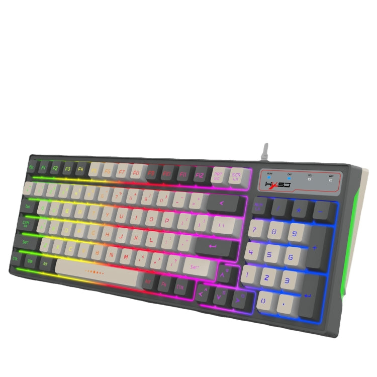 HXSJ V600 96-key RGB Backlit Dual-color Injection-molded Wired Gaming Keyboard - Wired Keyboard by HXSJ | Online Shopping UK | buy2fix