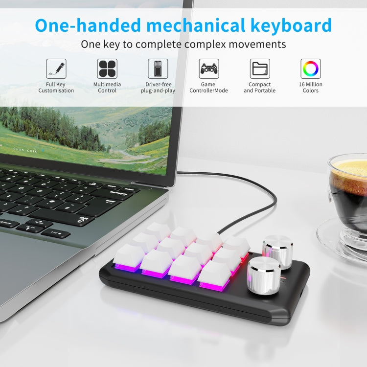 USB Wired 12KV2 MOLD Mini Mechanical 12 Keys 2 Knob Custom Programming Keyboard(White) - Mini Keyboard by buy2fix | Online Shopping UK | buy2fix