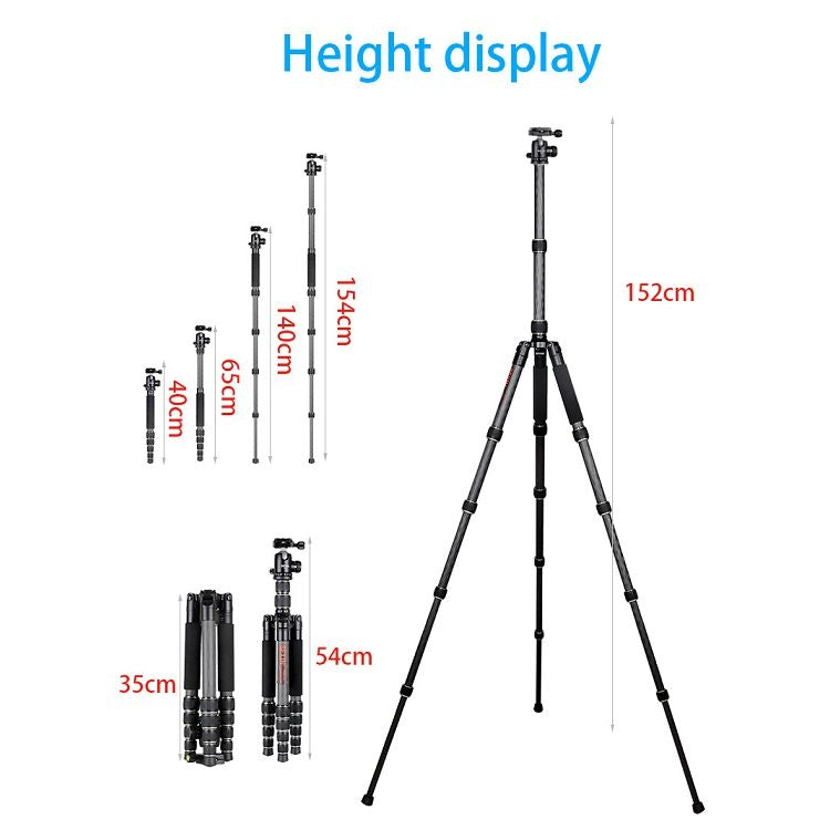 BEXIN BX255C K30 Portable Carbon Fiber Tripod for Camera Dslr - Tripods by BEXIN | Online Shopping UK | buy2fix