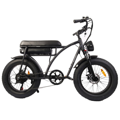 BEZIOR XF001 1000W 48V 12.5AH Retro Electric Bicycle with LCD Digital Display & 20 inch Tires, EU Plug(Black) - Electric Bicycles by BEZIOR | Online Shopping UK | buy2fix