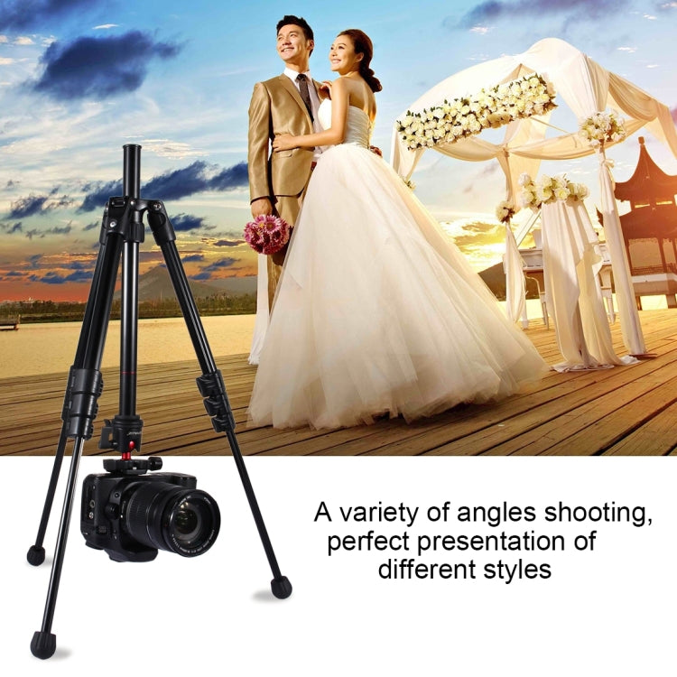 PULUZ 4-Section Folding Legs Metal  Tripod Mount with 360 Degree Ball Head for DSLR & Digital Camera, Adjustable Height: 42-130cm - Tripods by PULUZ | Online Shopping UK | buy2fix