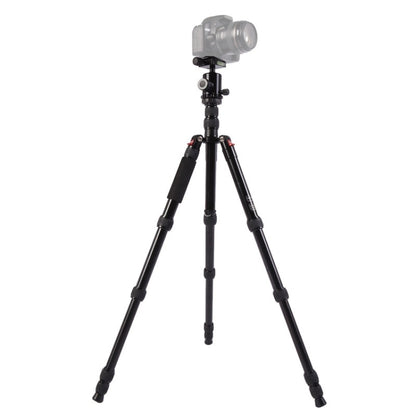 Triopo MT-2805C Adjustable Portable Aluminum Tripod with NB-2S Ball Head for Canon Nikon Sony DSLR Camera(Black) - Tripods by TRIOPO | Online Shopping UK | buy2fix