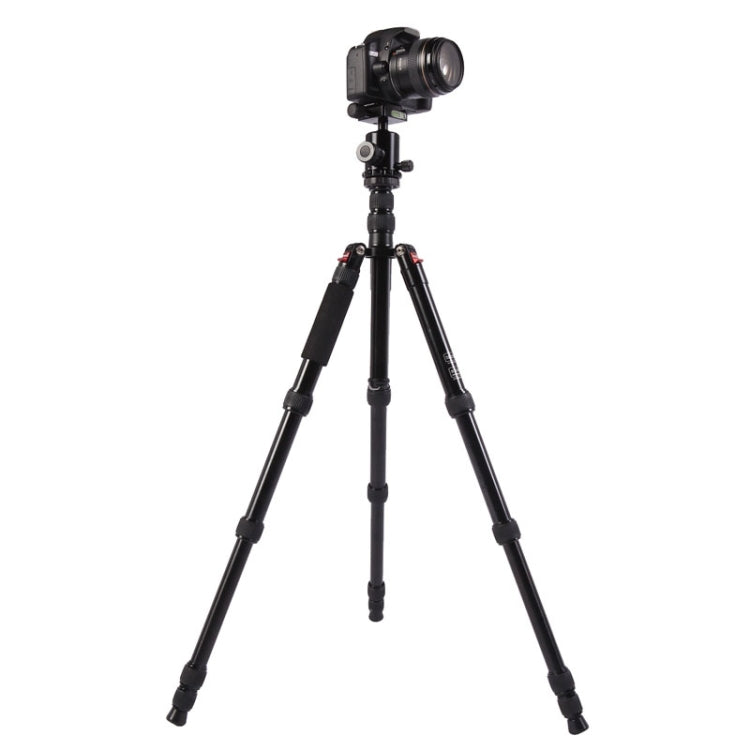 Triopo MT-2805C Adjustable Portable Aluminum Tripod with NB-2S Ball Head for Canon Nikon Sony DSLR Camera(Black) - Tripods by TRIOPO | Online Shopping UK | buy2fix