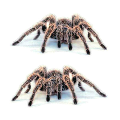 2 PCS Creative Personality Scratch Cover  Car Body Sticker(Spider Pair) - 3D Creative Stickers by buy2fix | Online Shopping UK | buy2fix