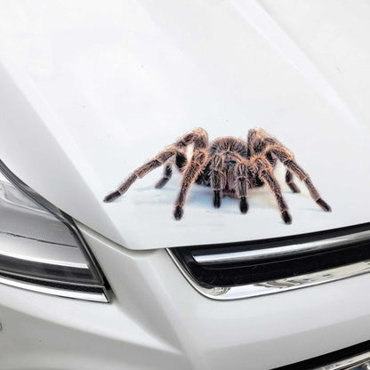 2 PCS Creative Personality Scratch Cover  Car Body Sticker(Spider Pair) - 3D Creative Stickers by buy2fix | Online Shopping UK | buy2fix