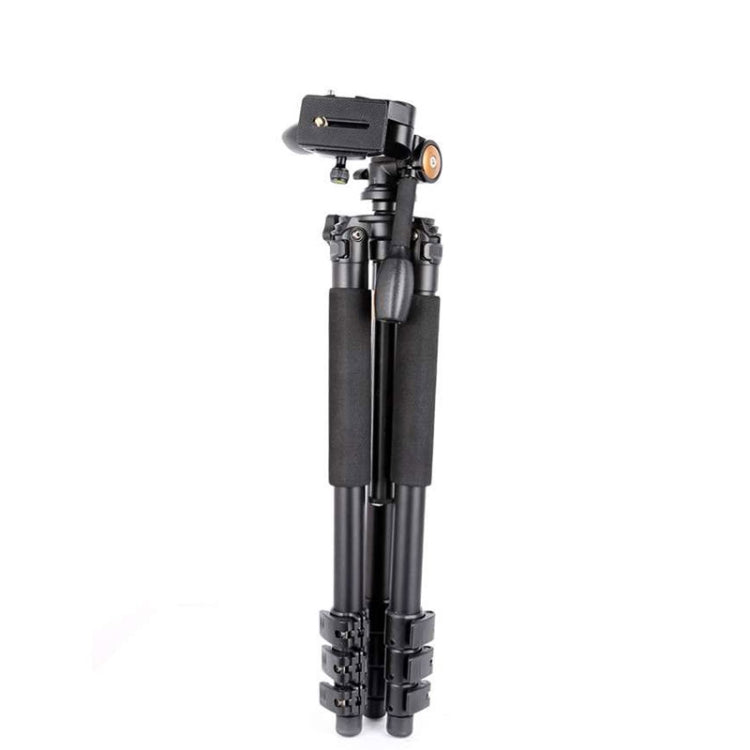 Q620 4-Section Folding Legs Heavy Duty Aluminum Alloy Tripod With Three-Dimensional Damping Tripod Heads - Camera Accessories by buy2fix | Online Shopping UK | buy2fix