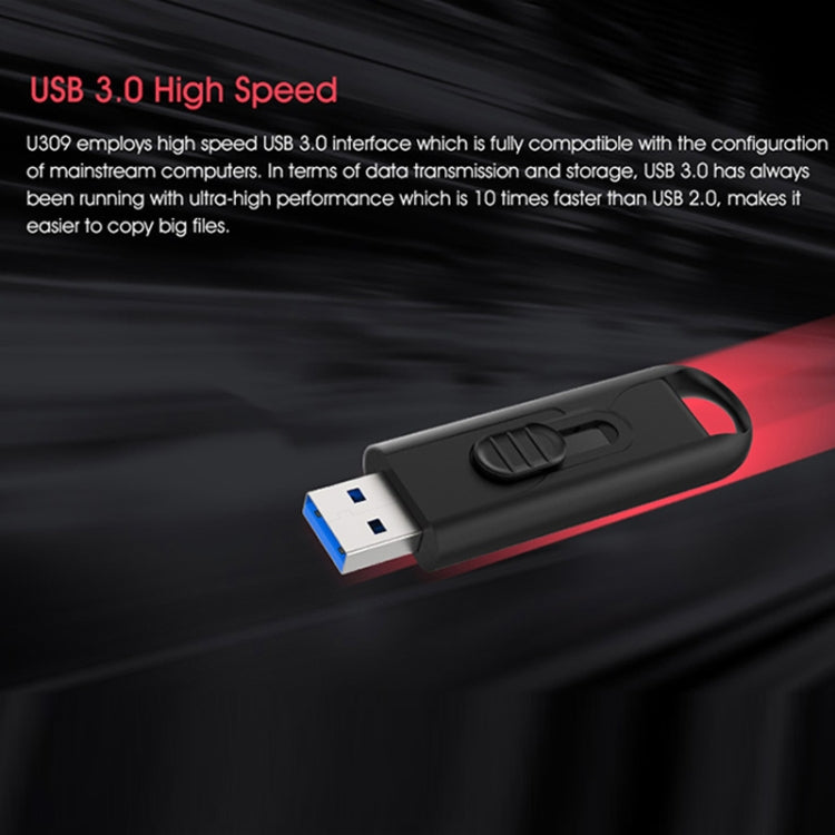 Netac U309 High Speed USB3.0 Push-Pull Encrypted USB Flash Drive, Capacity: 128GB - USB Flash Drives by Netac | Online Shopping UK | buy2fix