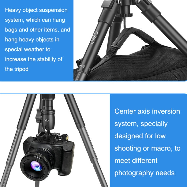 QingZhuangShiDai Q3110 Aluminum Mini Portable Desktop Action Camera Tripod - Camera Accessories by QingZhuangShiDai | Online Shopping UK | buy2fix