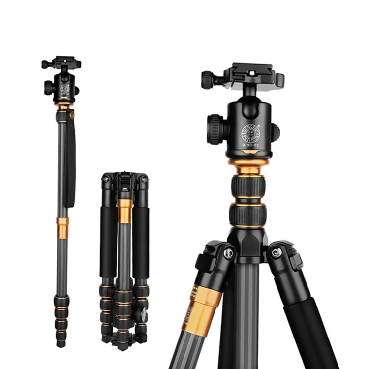 QingZhuangShiDai Q666C Portable Travel Photography Ball Head SLR Camera Carbon Fiber Tripod(Black) - Camera Accessories by QingZhuangShiDai | Online Shopping UK | buy2fix