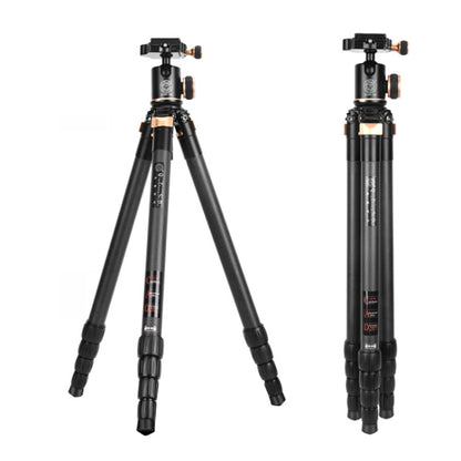 QingZhuangShiDai Q8805C CNC Camera SLR Carbon Fiber Tripod Without Central Axis(Black Gold) - Camera Accessories by QingZhuangShiDai | Online Shopping UK | buy2fix