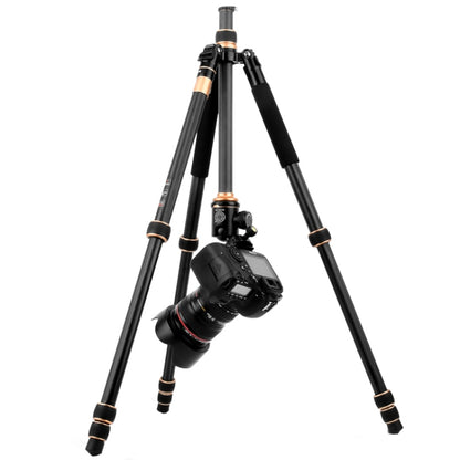 QingZhuangShiDai Q222C SLR Camera Carbon Fiber Portable Travel Tripod(Black) - Camera Accessories by QingZhuangShiDai | Online Shopping UK | buy2fix